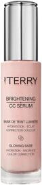 Serum By Terry