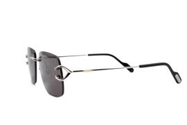 Sonnenbrillen Brillen Cartier