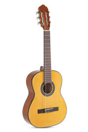 Elektrische Gitarren GEWA