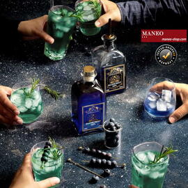 Geschenkanlässe Kunst & Design Gin V-Sinne