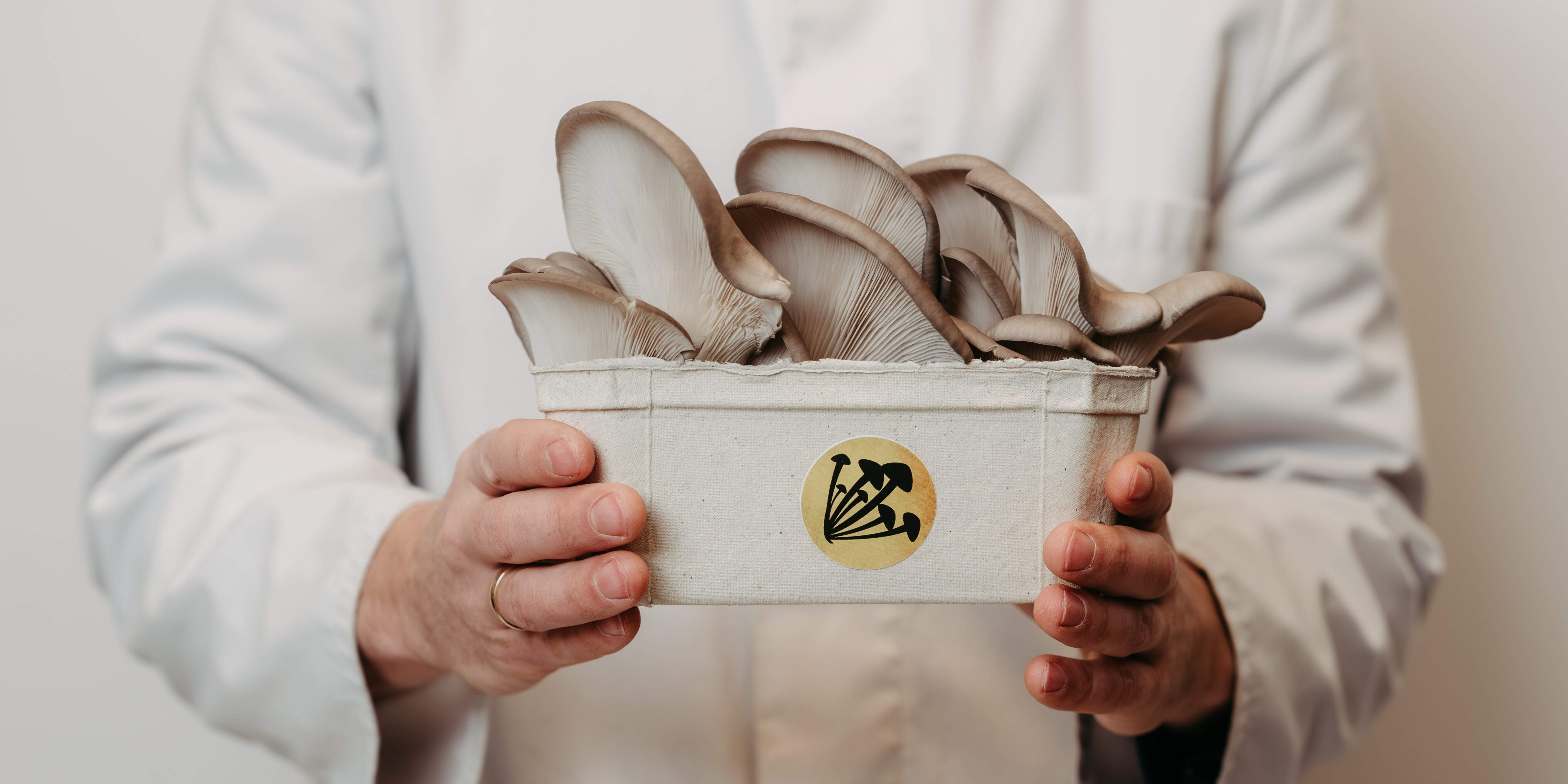 Slider Pilzschale 2-1.jpg