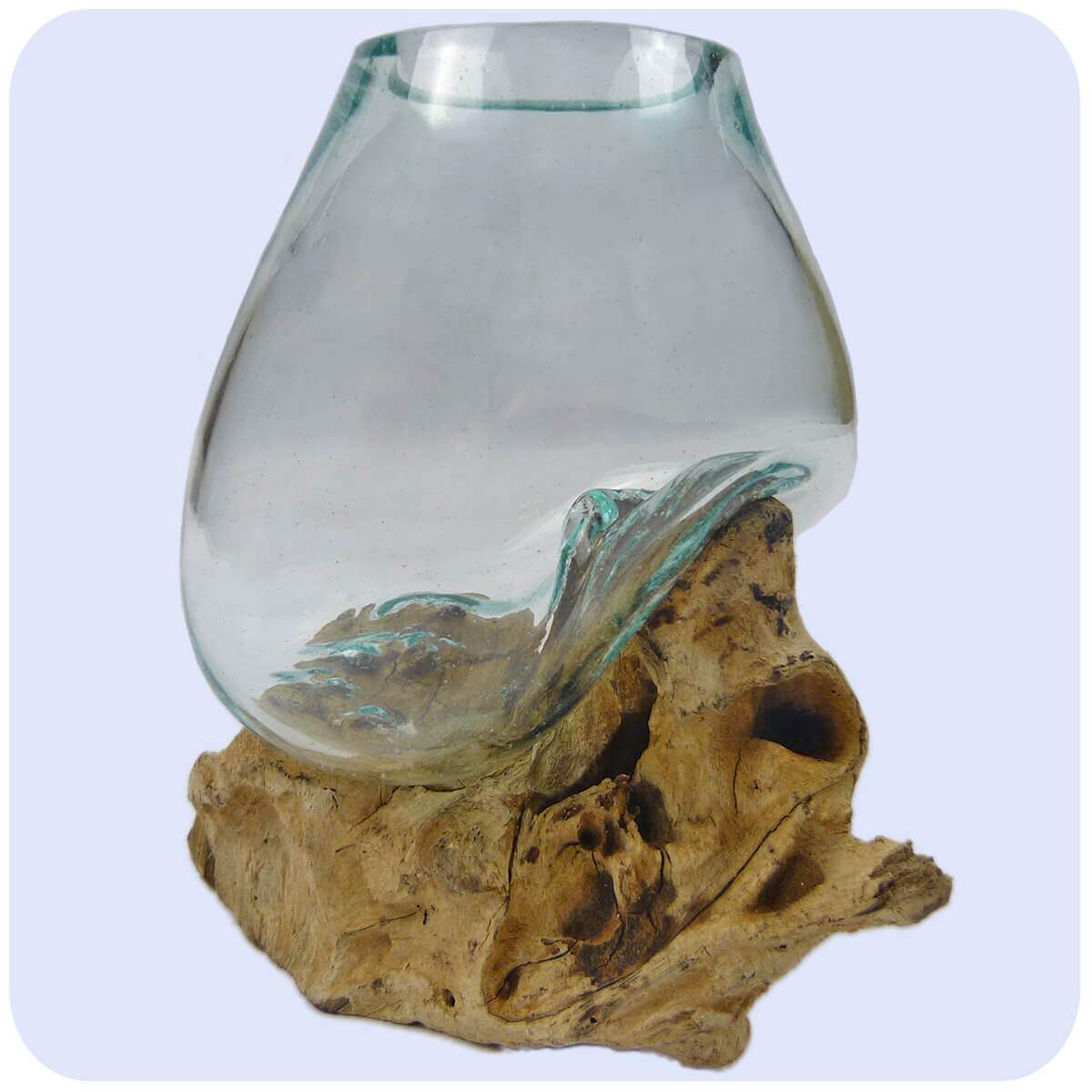 Simandra Wurzelholz Glas-Vase Wurzel-Vase Deko-Glas Holz Geschenk Unikat Objekt Design Blumenvase klein