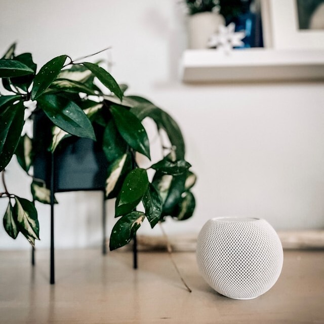 Smart Home 2 - square macademy - Unsplash.jpg