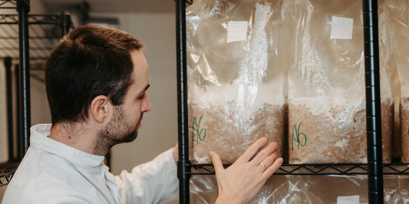 Slider Inkubation 2-1.jpg