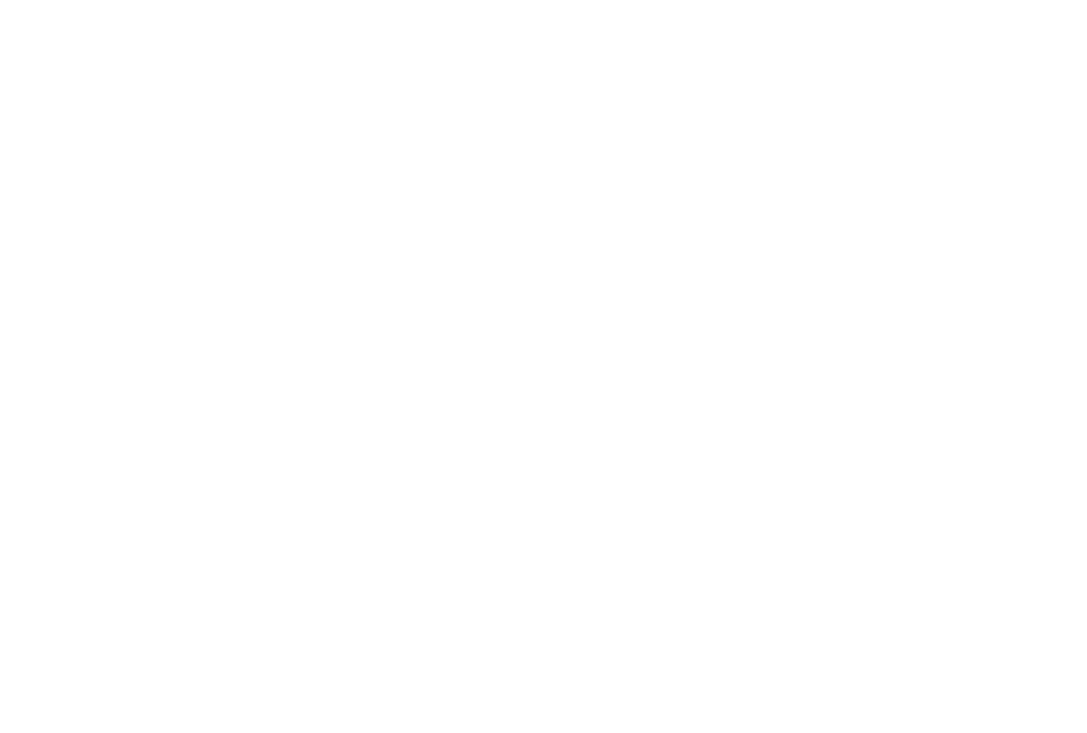 Adidas Logo - white - freigestellt.png