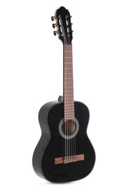 Elektrische Gitarren GEWA