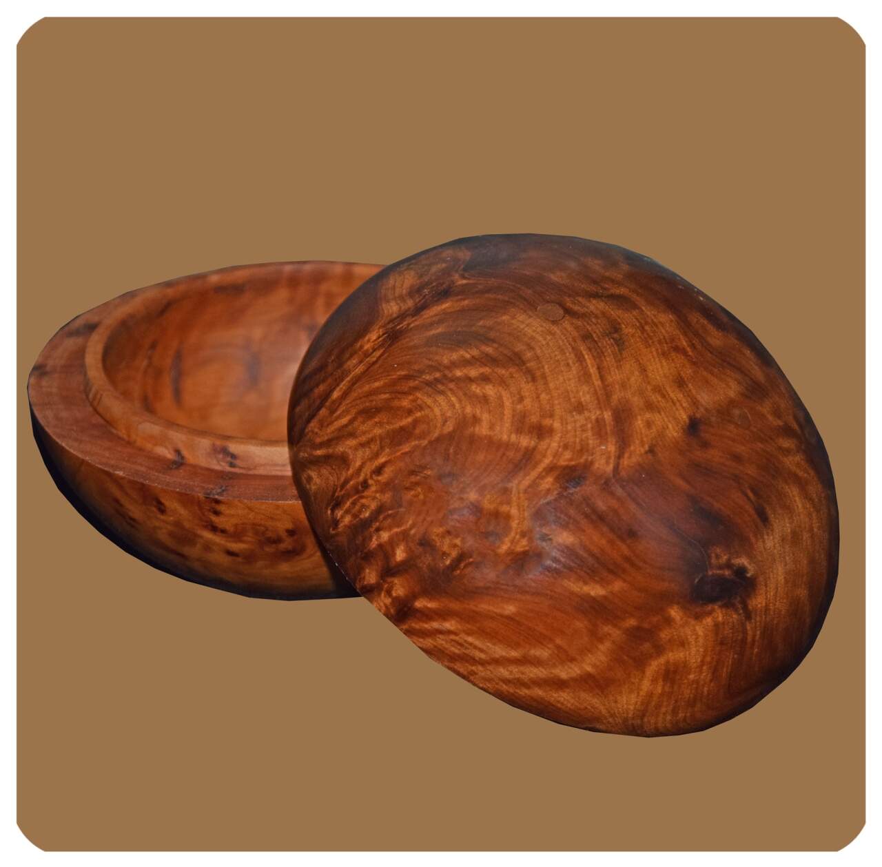 Thuja Holz Schatulle Dose Schmuckdose Holzschachtel Holzdose Holzschatulle  Wurzelholz Kiste rund