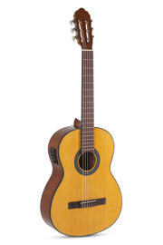 Elektrische Gitarren GEWA