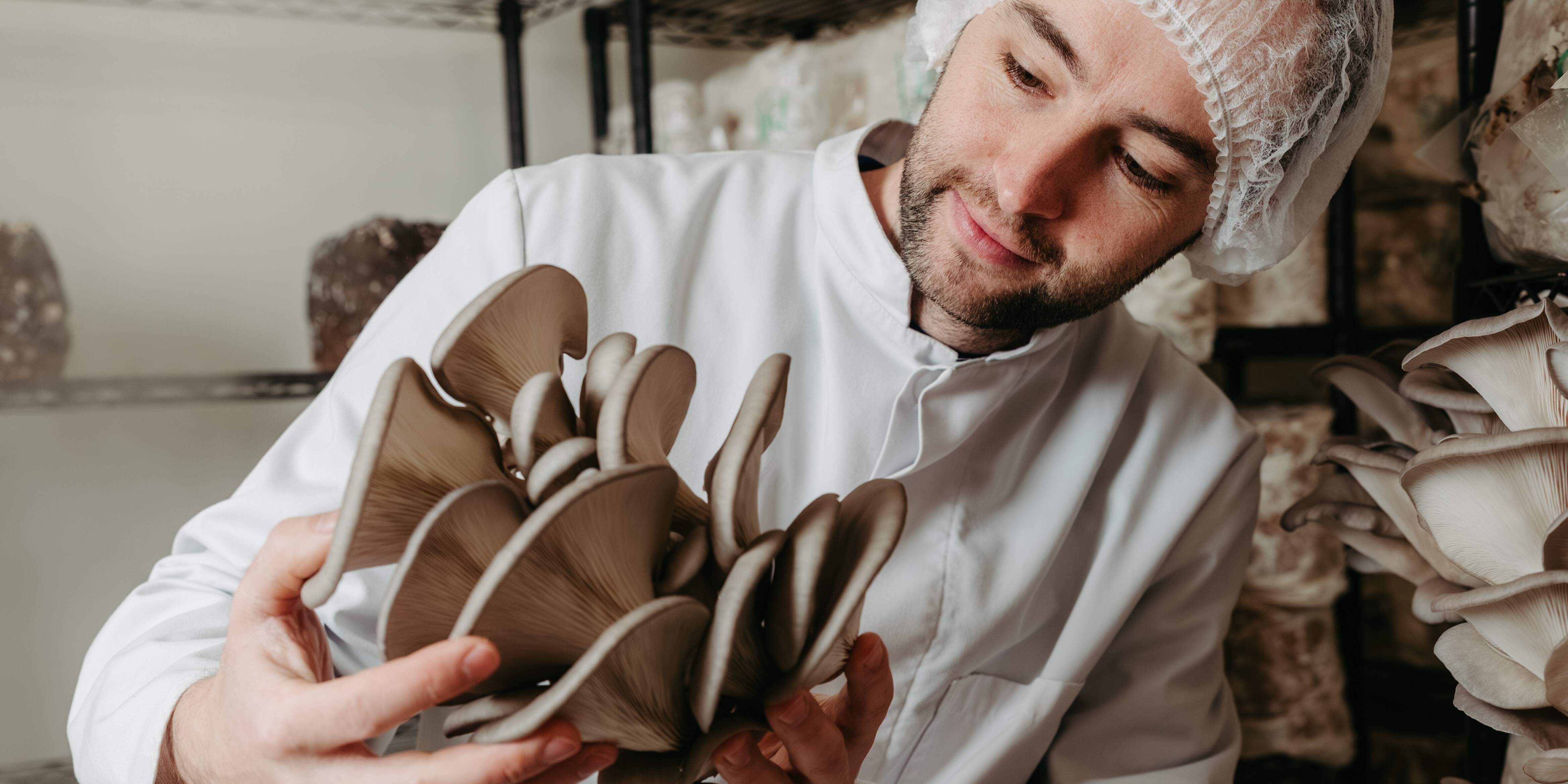 Slider Wolfi 2-1.jpg