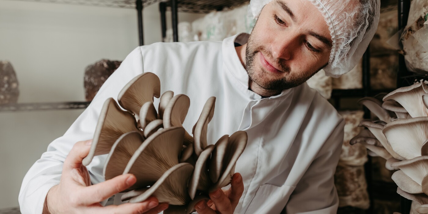 Slider Wolfi 2-1.jpg