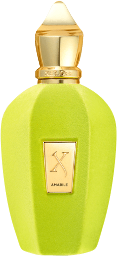 Xerjoff Rosa - V - Amabile Eau De Parfum