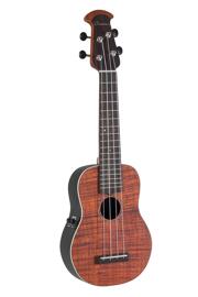 Elektrische Gitarren Ovation