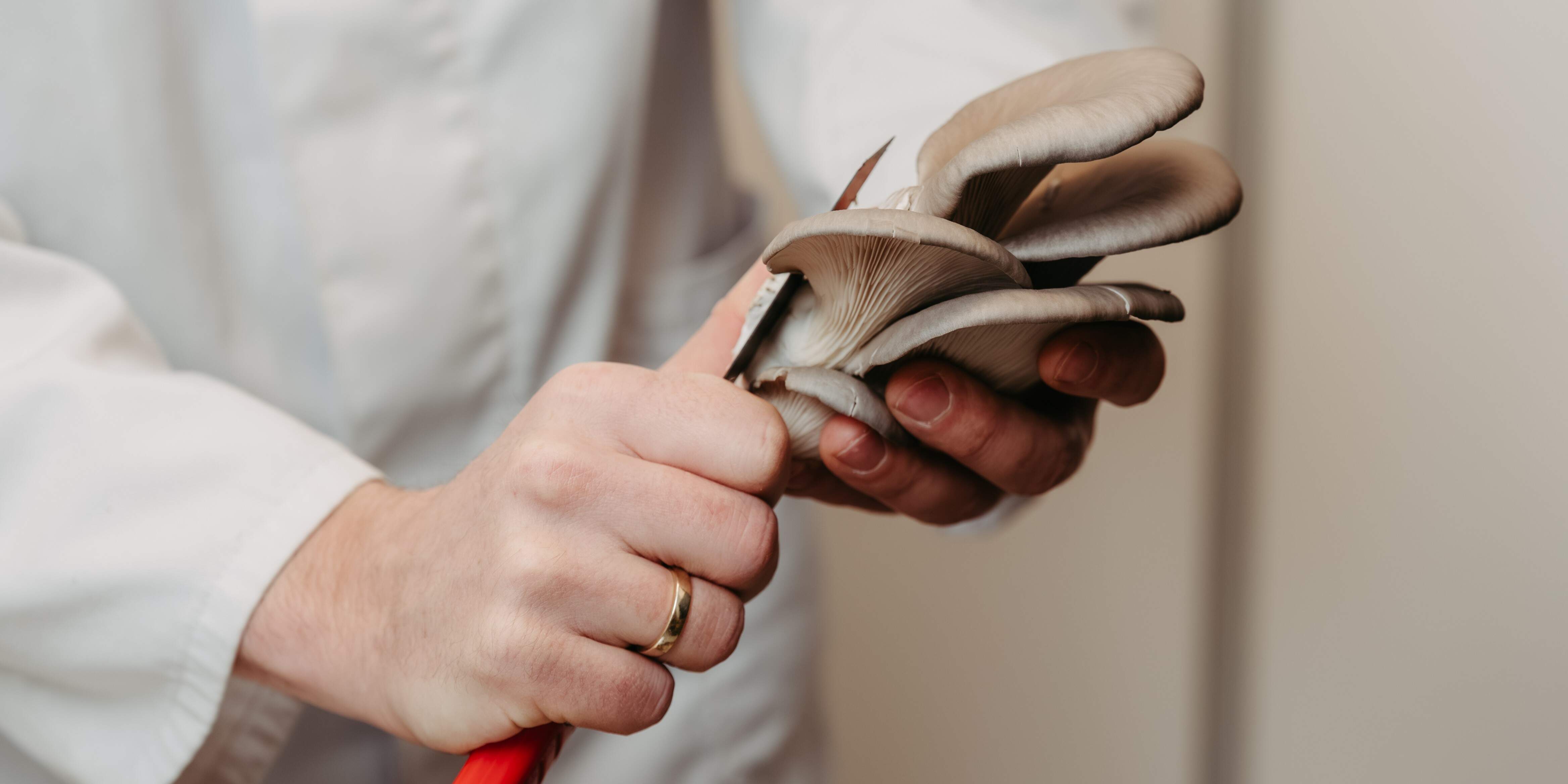 Slider Ernte 2-1.jpg