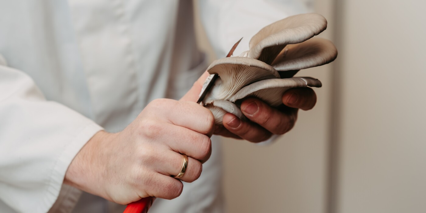 Slider Ernte 2-1.jpg