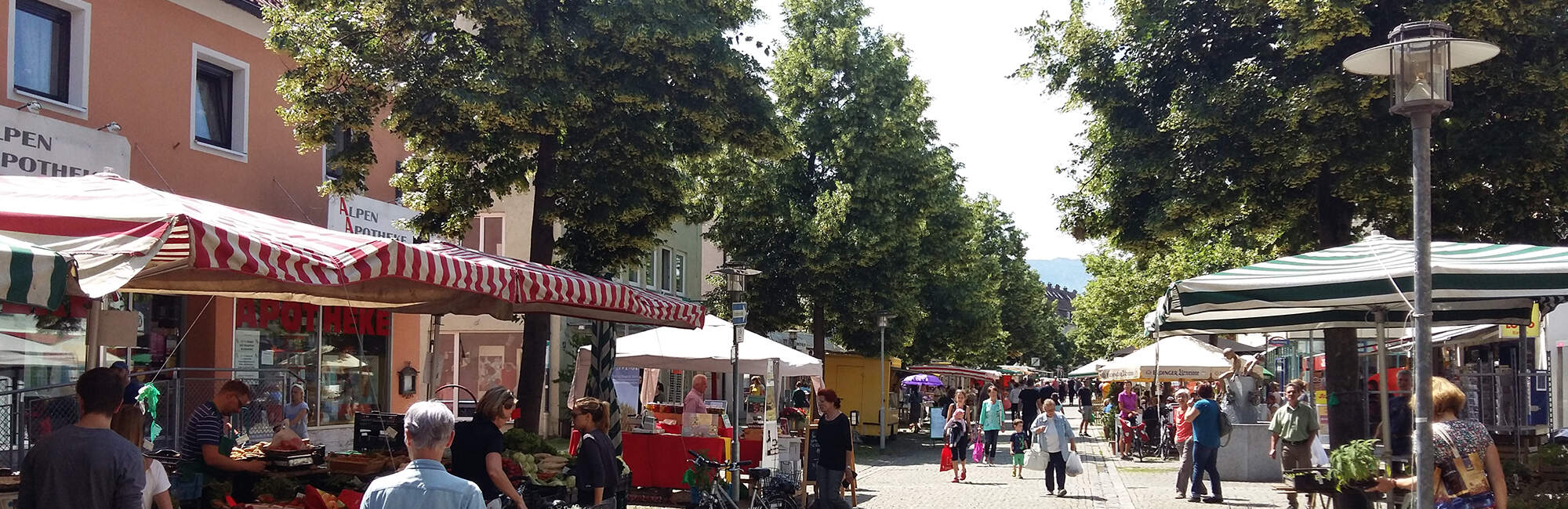 Deine ganze Stadt im Blick