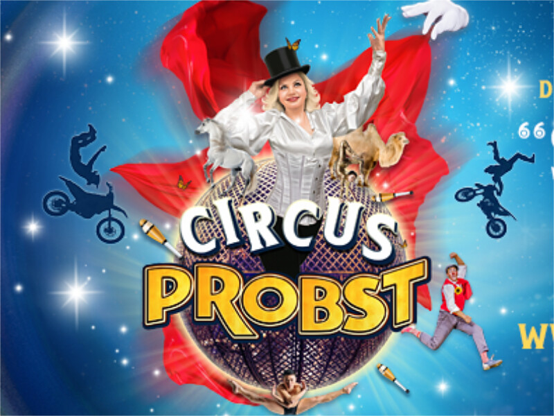 Circus Probst gastiert in Alfeld