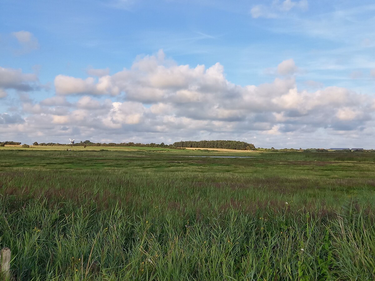 "Föhr Tours" – Naturkundliche und ornithologische Führungen