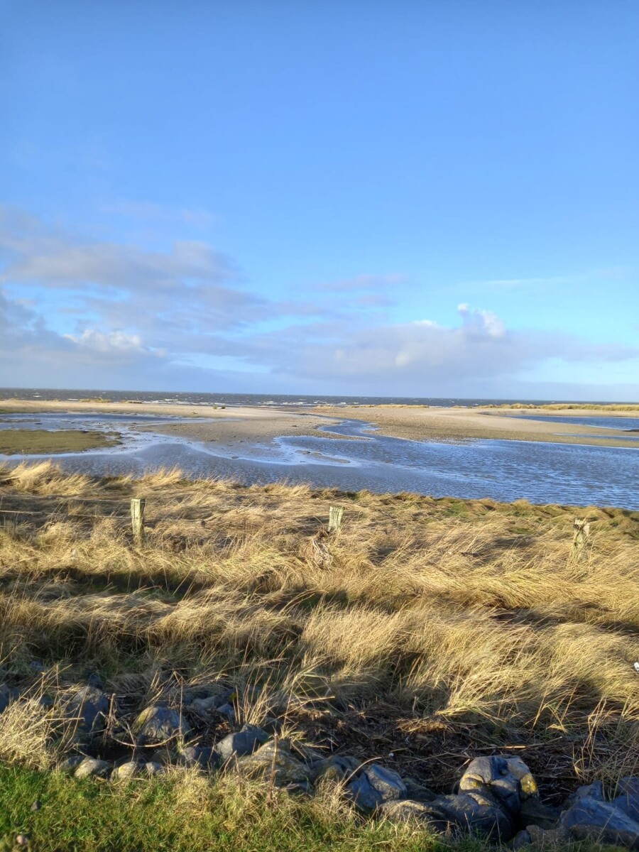 "Föhr Tours" – Naturkundliche und ornithologische Führungen