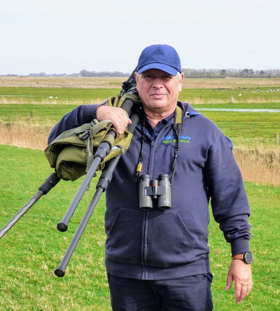 "Föhr Tours" – Naturkundliche und ornithologische Führungen