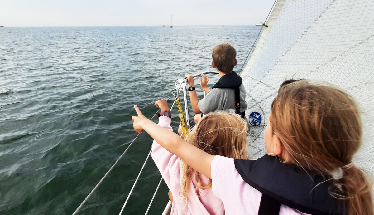Junioren-Segelkurs – Grundkurs von Montag bis Donnerstag, ab 8 Jahren