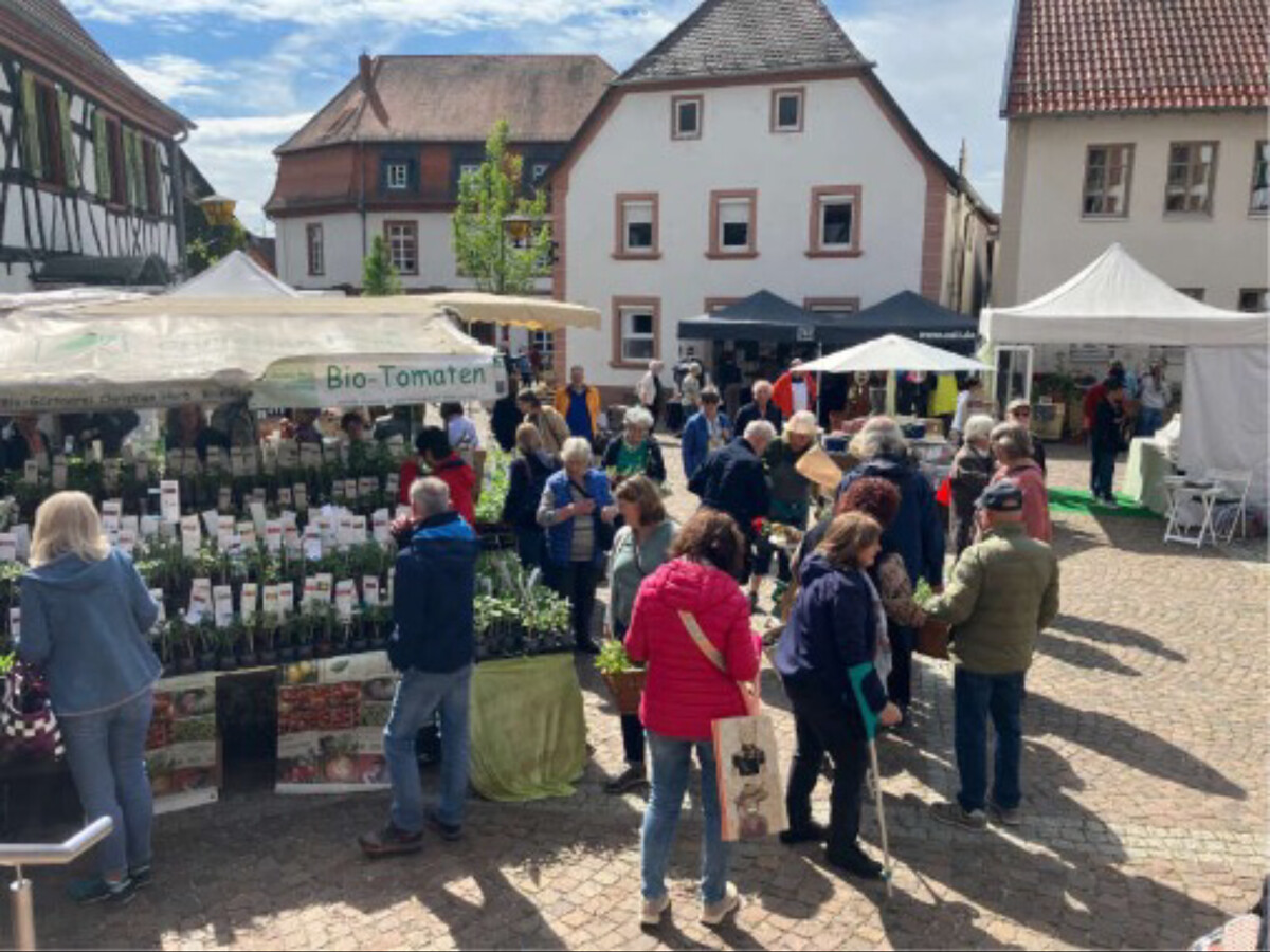 Kräuter- und Ölmarkt im Mai 2025 in Kandel