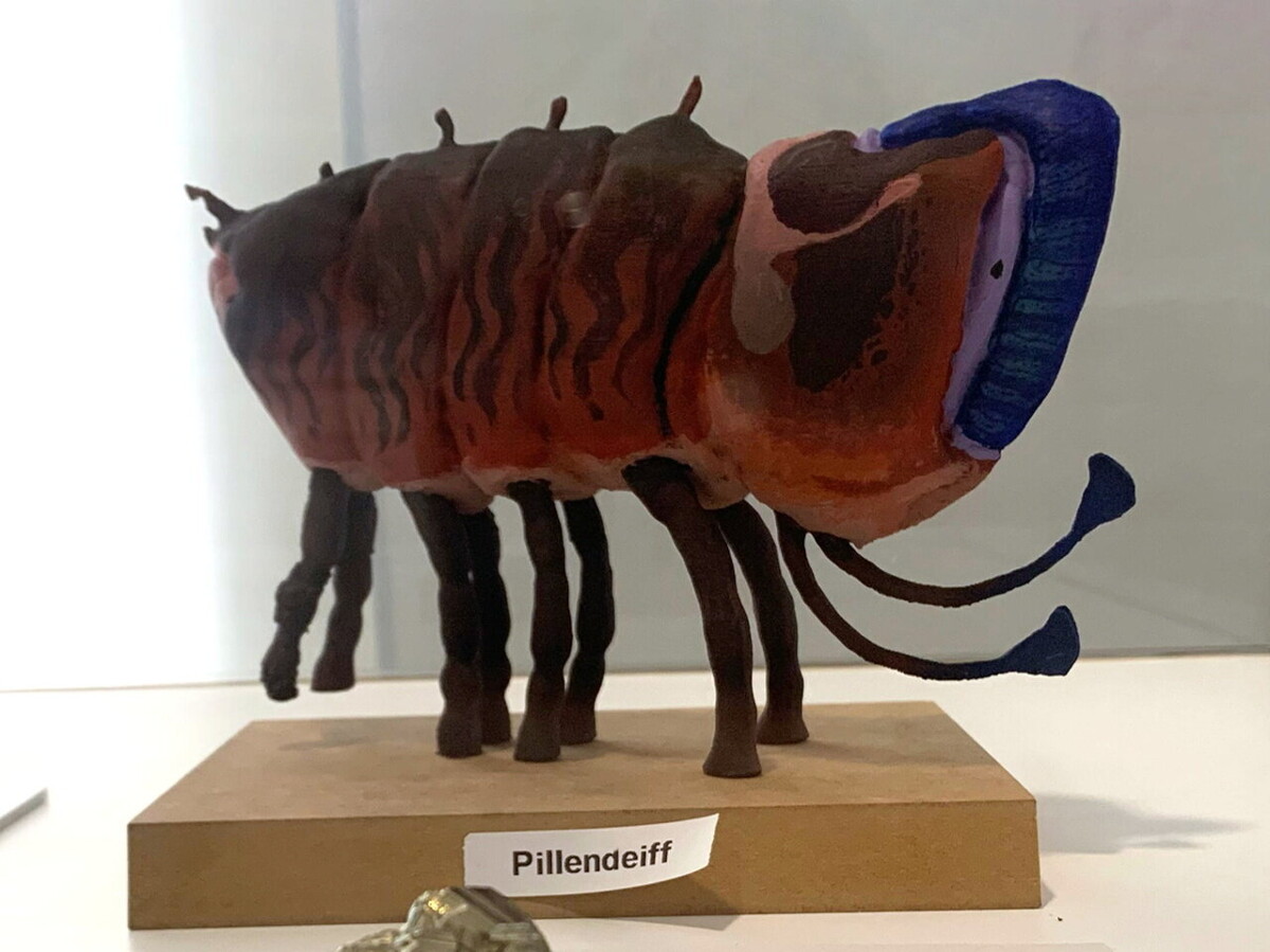 Sonderausstellung: Auf fremden Welten