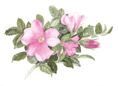 Birgitt Sokollek - Offenes Atelier