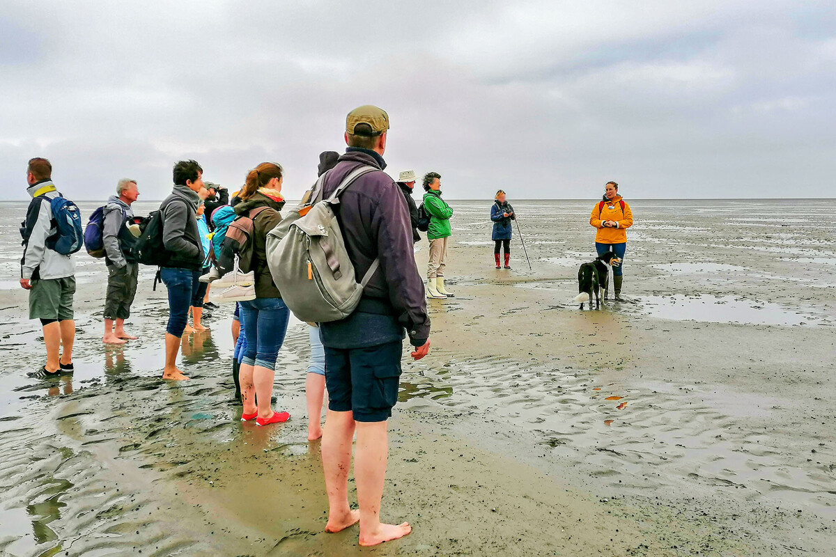 Wattwanderung zur Hallig Südfall