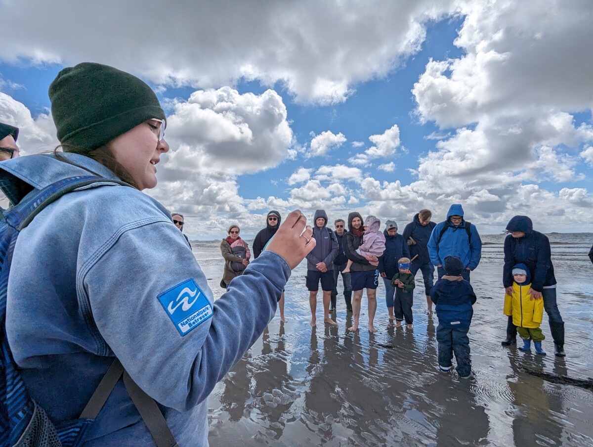 Kleine Wattwanderung auf Föhr