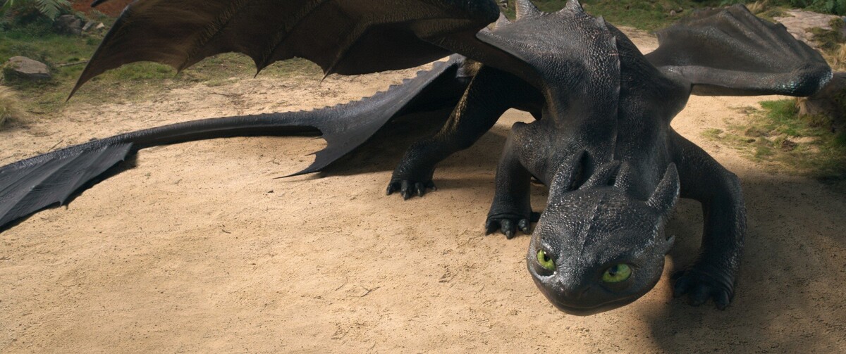 Drachenzähmen leicht gemacht 3D