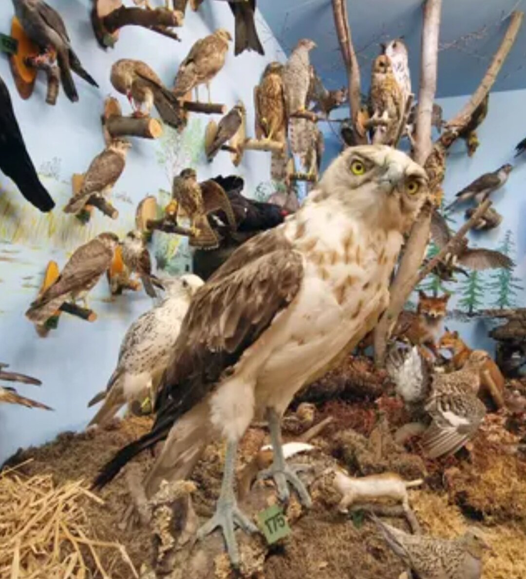 Naturzentrum das ganze Jahr