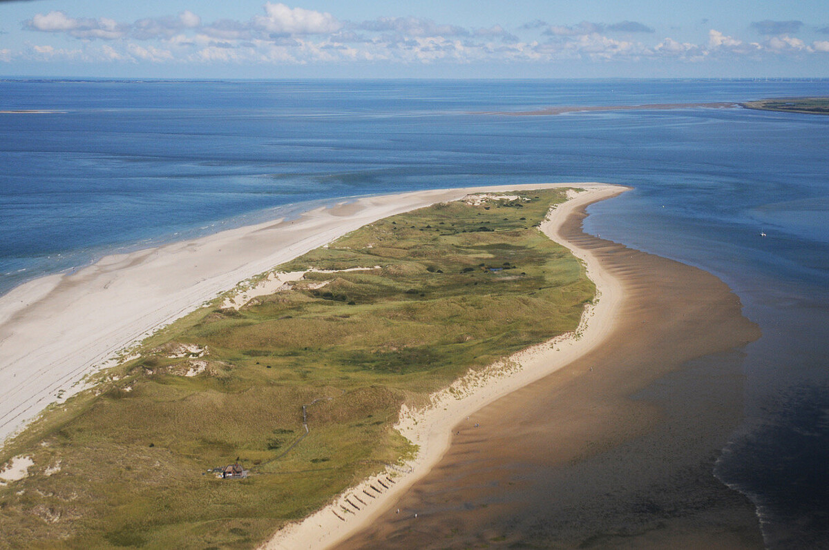 Vogelkundliche Führung