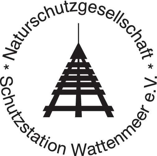 Workshop: Strandfunde bestimmen und Bernsteinschleifen