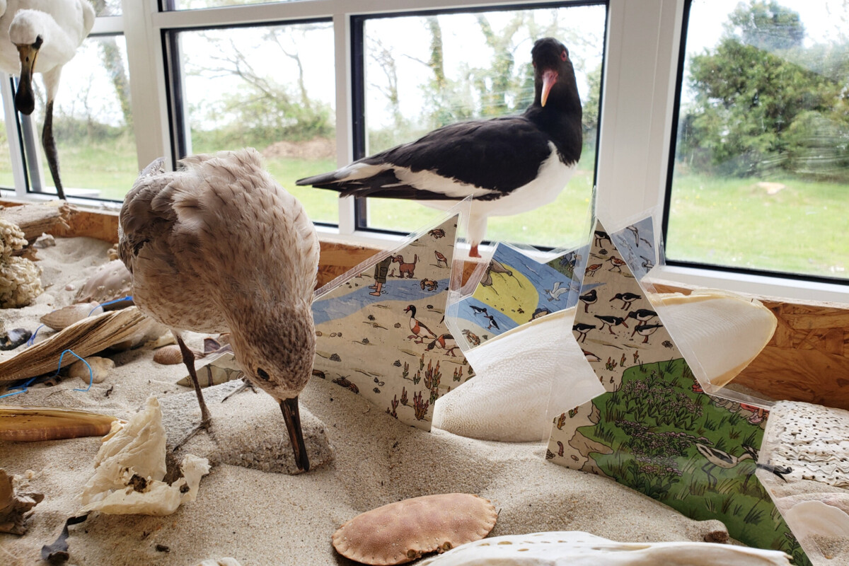 Watt´n Escape im Nationalpark Haus - Schafft ihr es der Flut zu entkommen?