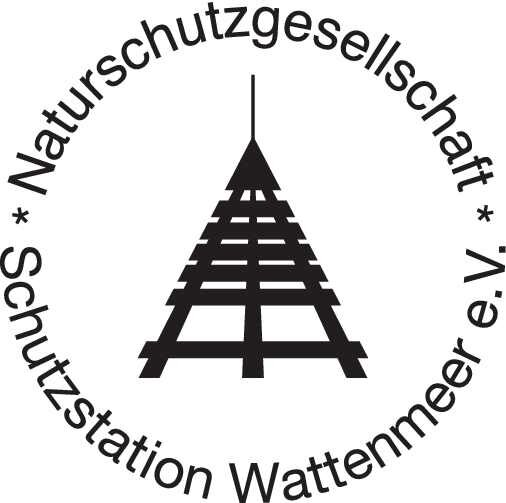 Workshop: Strandfunde bestimmen und Bernsteinschleifen