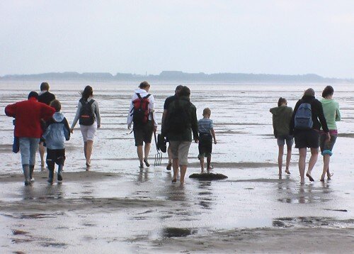 Watterlebnis für Groß und Klein