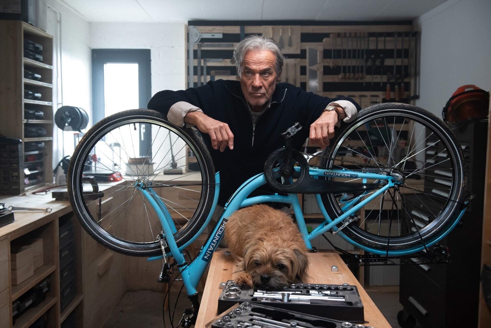 Ein fast perfekter Antrag