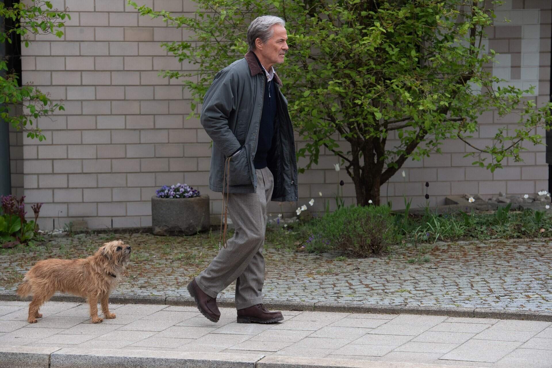 Ein fast perfekter Antrag