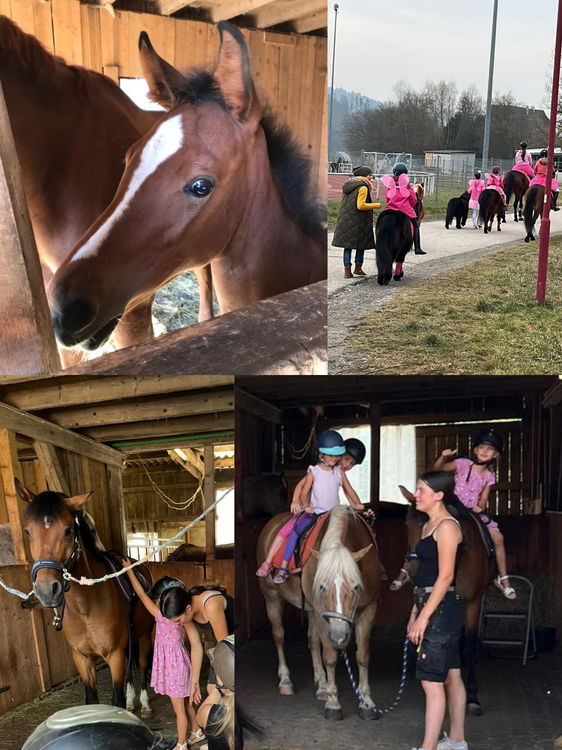 Ferienprogramm "Ponyspaß und Spiel in Waltersberg"