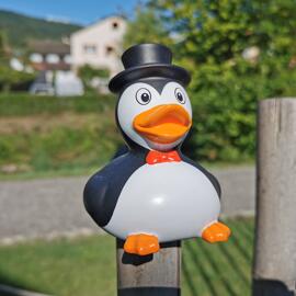Seiffener Volkskunst Kugelräucherfigur Pinguin