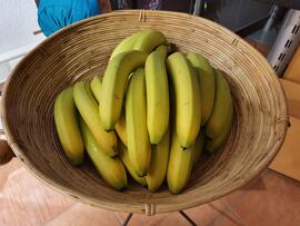 Obst & Gemüse Fairtrade BanaFair