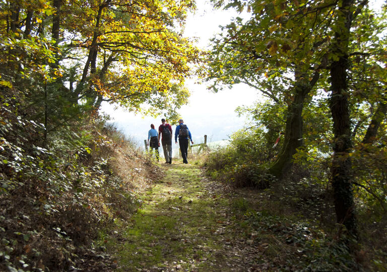 Touristinformation Kirner Land Kirn