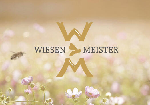 Imkerei Heerlein „ Wiesenmeister“