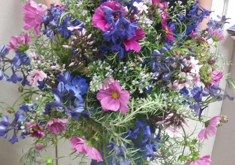 Blumen Shop Wedel Wedel