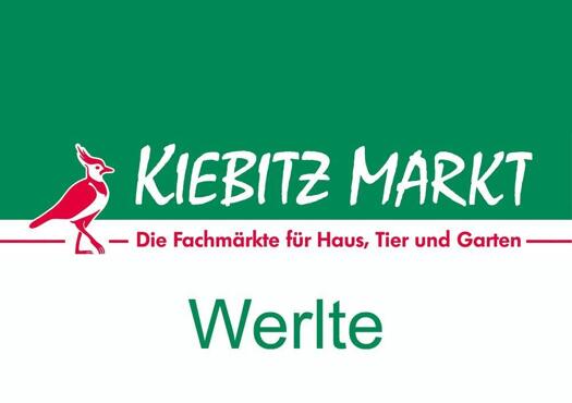 Kiebitzmarkt Hüntelmann