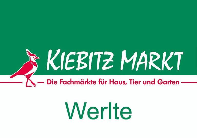 Kiebitzmarkt Hüntelmann Werlte