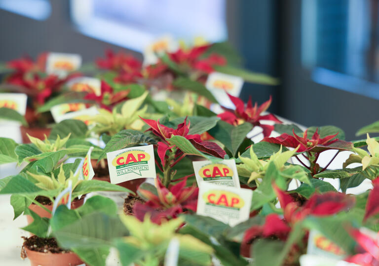 CAP Markt Kirrberg Homburg