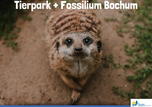 Tierpark + Fossilium Bochum