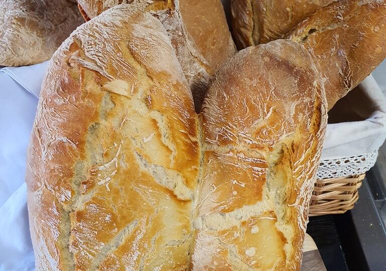 Bock Concept Freilassing