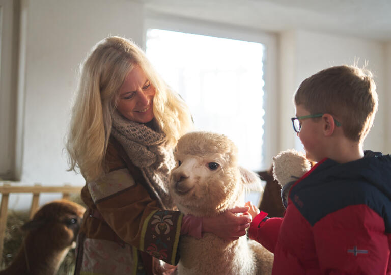 Alpaka Passion Monheim am Rhein